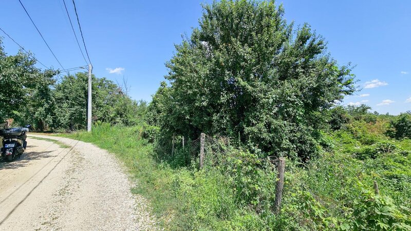 Bolintin Vale, teren 3200 mp intravilan, intre case.