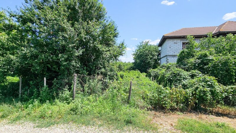 Bolintin Vale, teren 3200 mp intravilan, intre case.